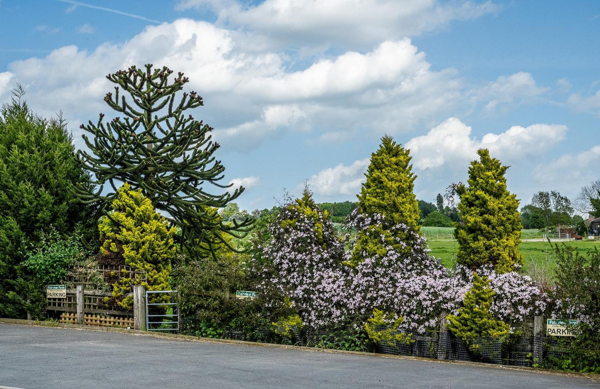 Upside Down House - Sleeps Up To 6 Guests - Great For Family And Friends Gatherings,Corporate Events ,Near Sherwood Forest At Fairview Farm In Nottingham Set In 88 Acres Extérieur photo